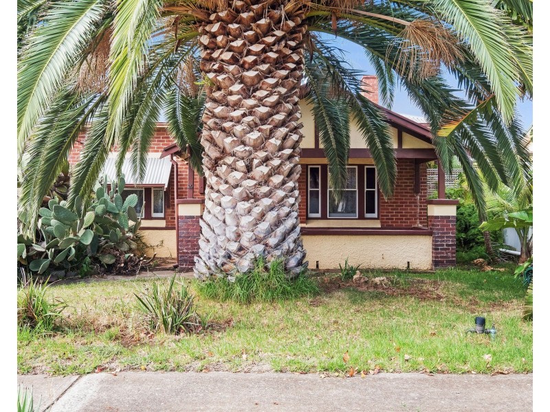 29 Wodonga Street, Beverley SA 5009