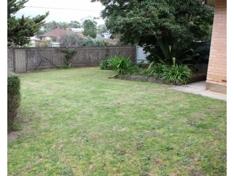 8 Melory Court, Magill SA 5072