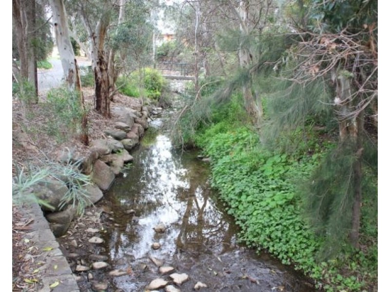 8 Melory Court, Magill SA 5072