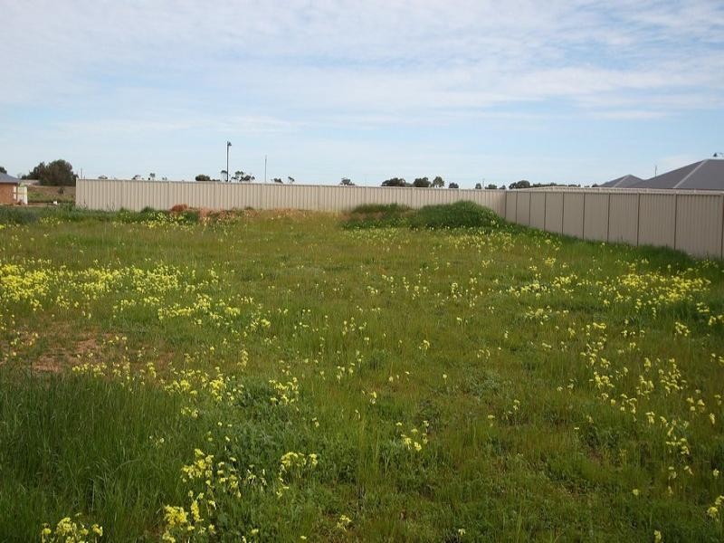 7 Pendolino Road, Virginia SA 5120