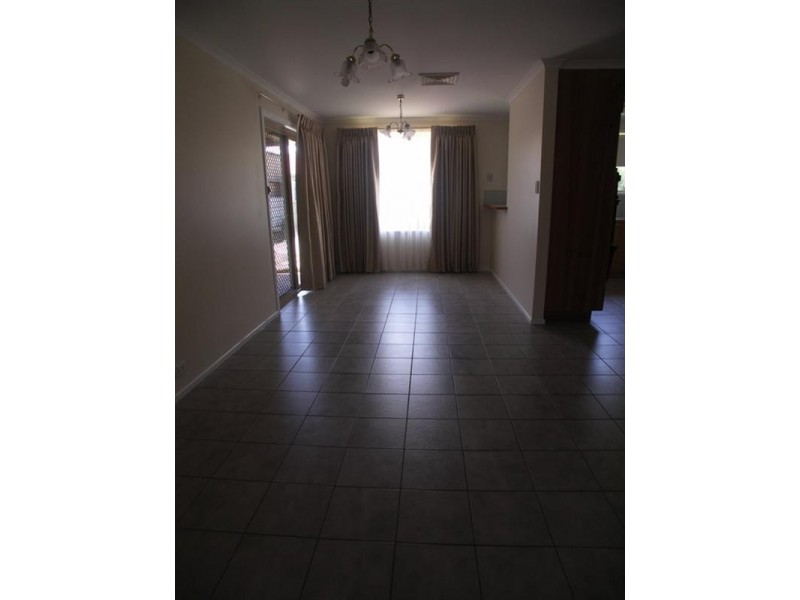 99 Maple Avenue, Royal Park SA 5014