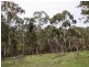57a Prosperity Way, Athelstone SA 5076