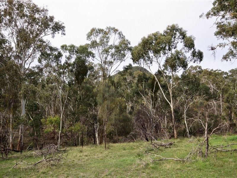 57a Prosperity Way, Athelstone SA 5076