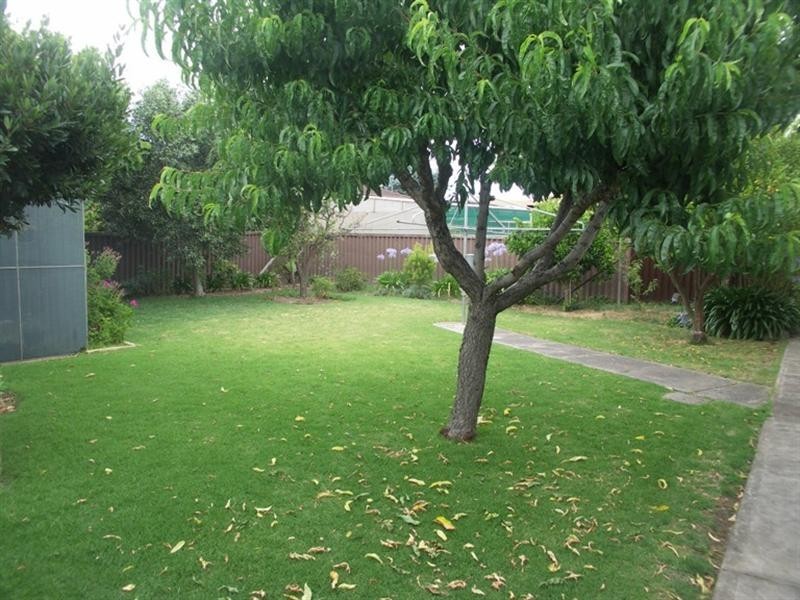 31 Jamaica Avenue, Fulham Gardens SA 5024
