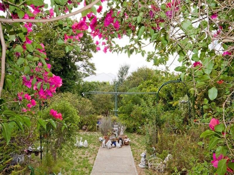 31 Dampier Avenue, Findon SA 5023