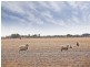 85 Hayman Road, Two Wells SA 5501
