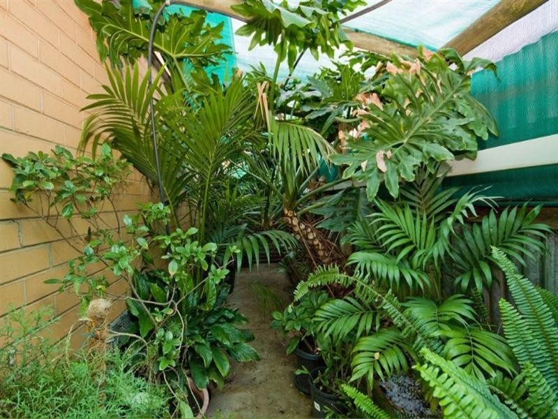 15 Winkle Street, Elizabeth Downs SA 5113