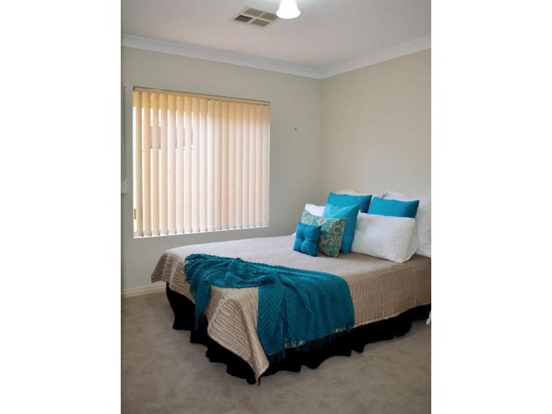 12 Thistle Avenue, Flinders Park SA 5025