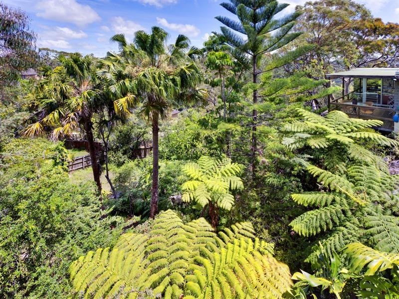 5 Angophora Crescent, Forestville NSW 2087