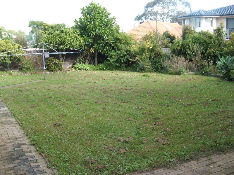 Forestville NSW 2087