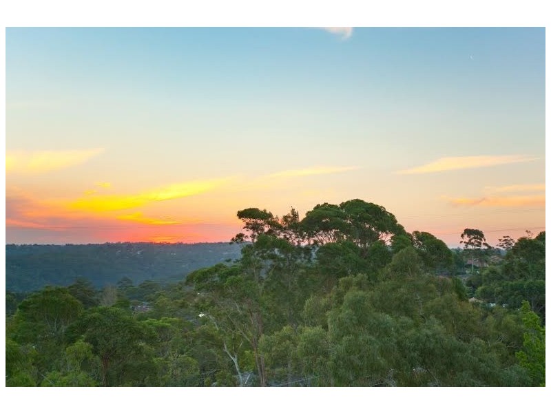 11 Craig Place, Davidson NSW 2085