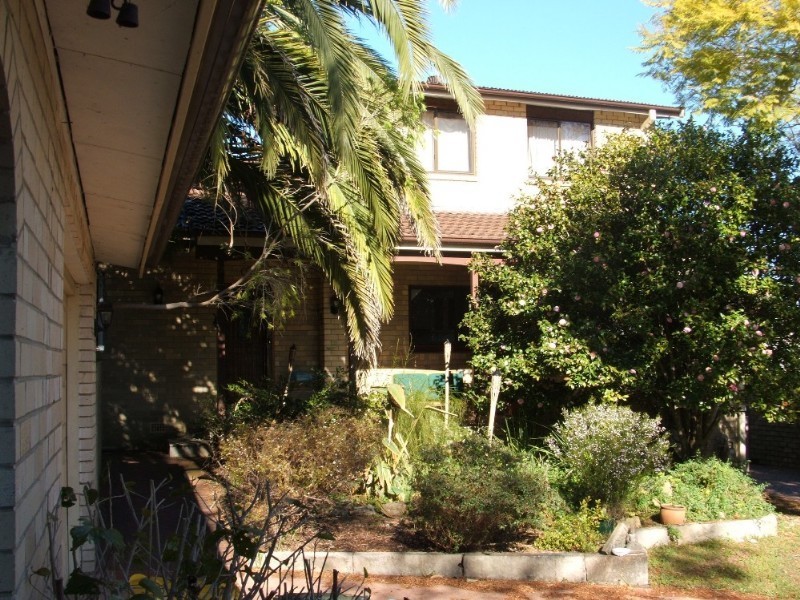 23 Brown Street, Forestville NSW 2087