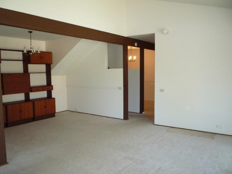 20 Elm Avenue, Belrose NSW 2085