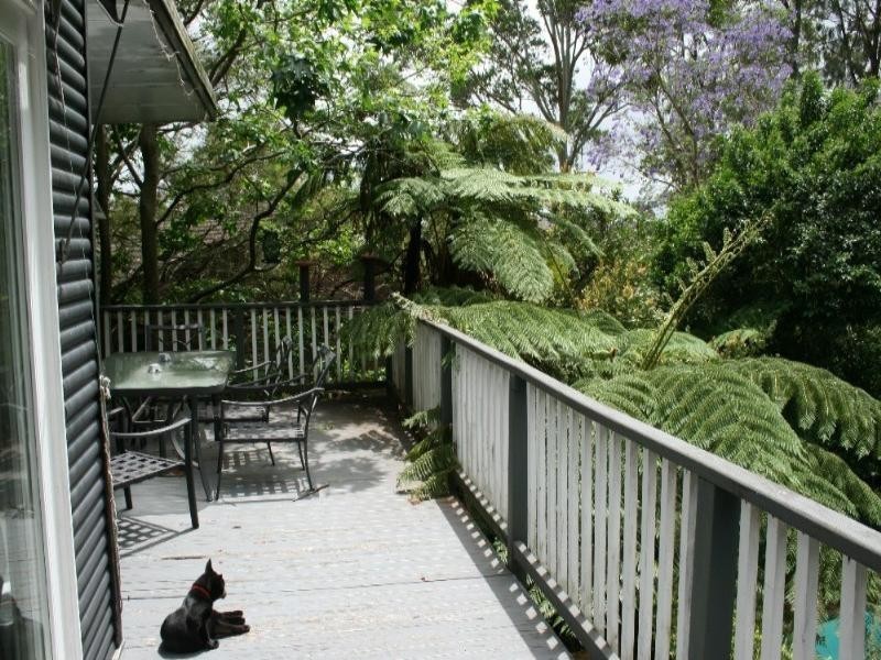 19 Nandi Avenue, Frenchs Forest NSW 2086