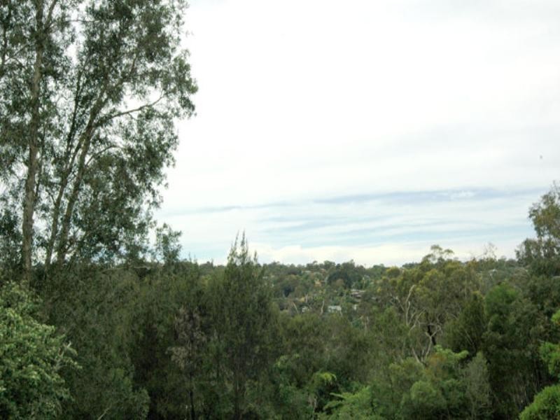 19 John Oxley Drive, Frenchs Forest NSW 2086