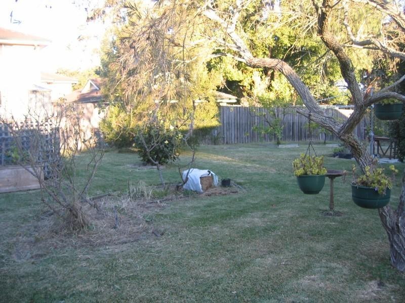 9 Davidson Avenue, Forestville NSW 2087