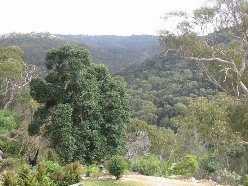 54 Milham Crescent, Forestville NSW 2087