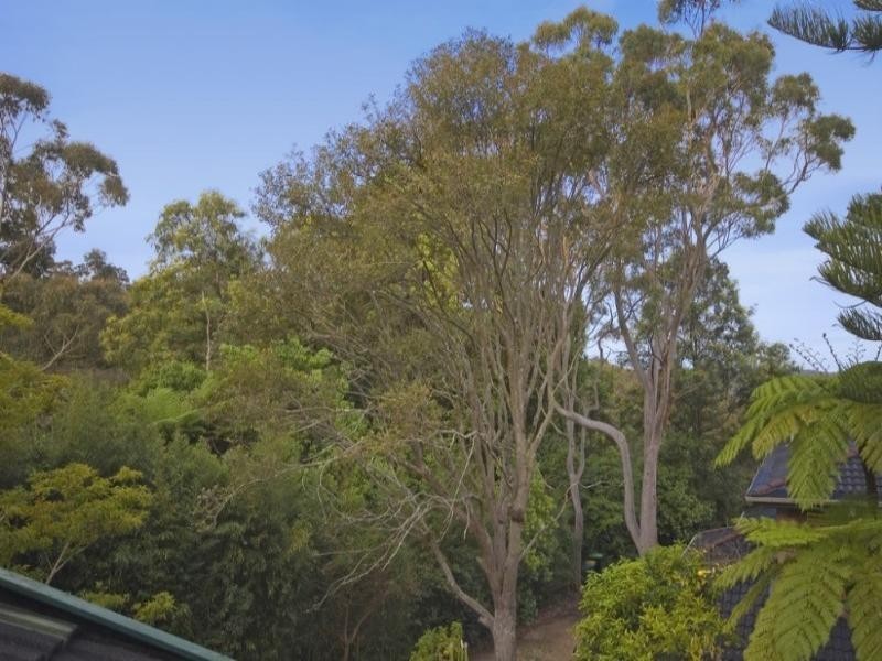 55 Starkey Street, Forestville NSW 2087