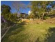 15 Angophora Avenue, Forestville NSW 2087