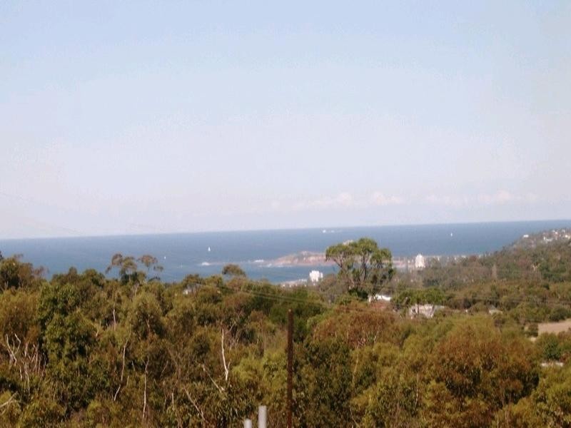 11 Lane Cove Road, Ingleside NSW 2101