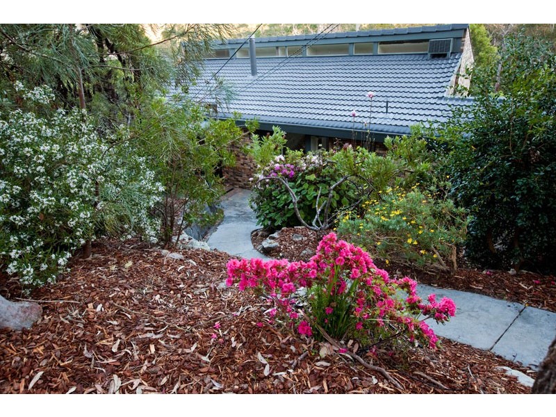 47 Lady Davidson Circuit, Forestville NSW 2087