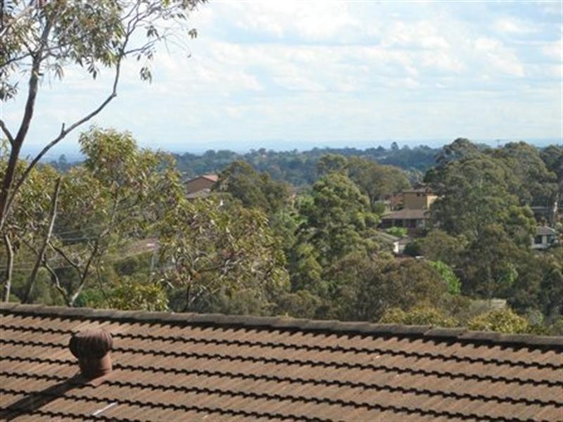 1 Borgnis Street, Davidson NSW 2085