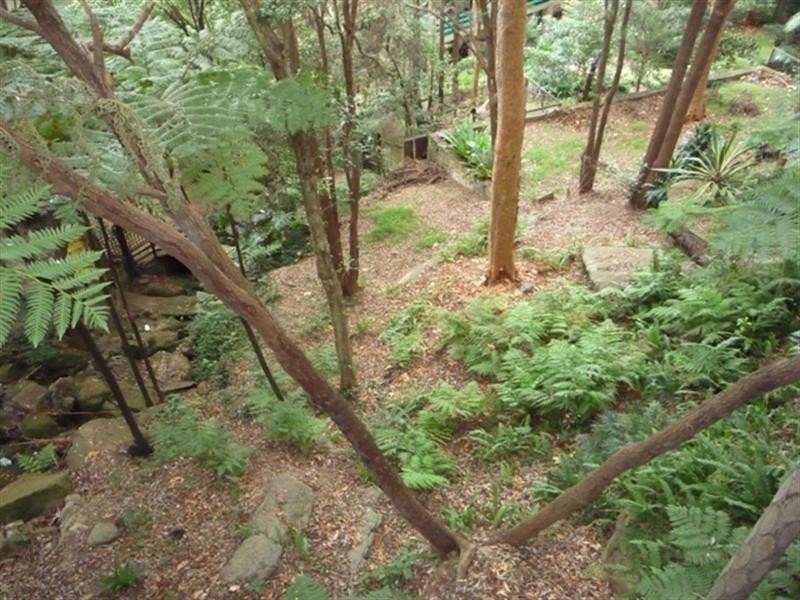 31 Ryan Place, Beacon Hill NSW 2100