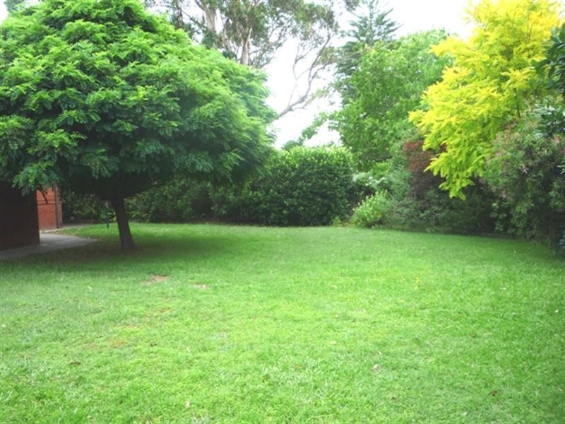 566 Warringah Road, Forestville NSW 2087