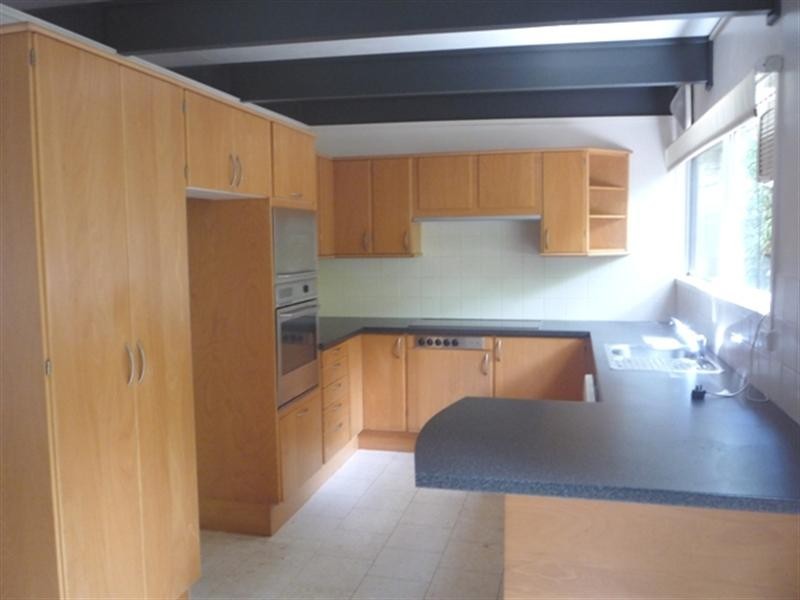 41 Ryan Place, Beacon Hill NSW 2100