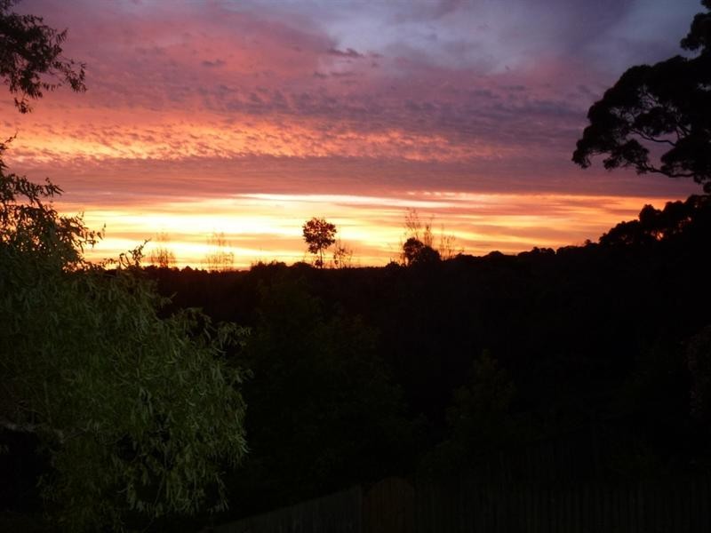 5 Jonathon Place, Frenchs Forest NSW 2086