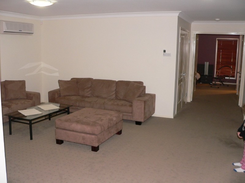 44 Caribbea Street, Eight Mile Plains QLD 4113