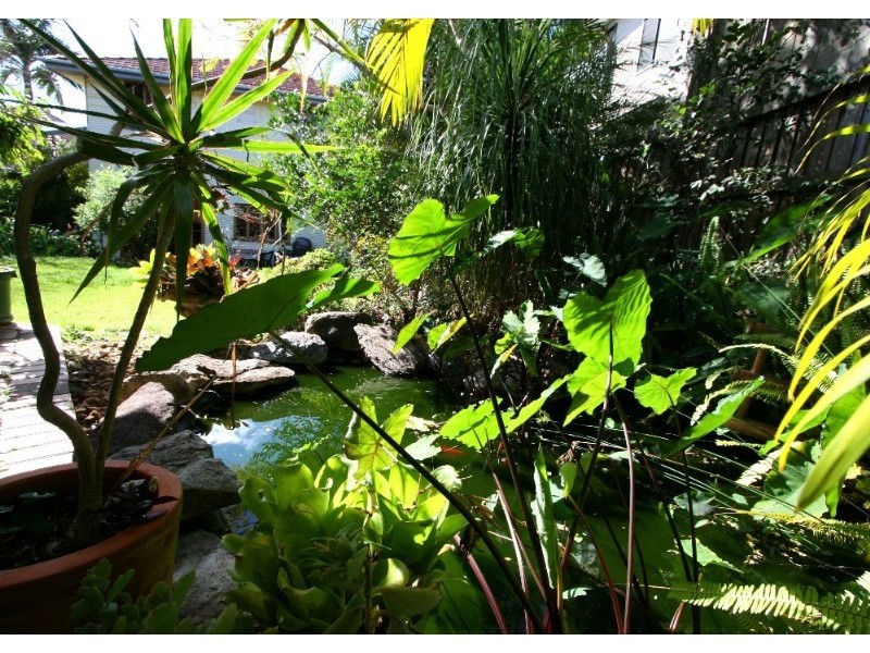 16A Worden Street, Morningside QLD 4170