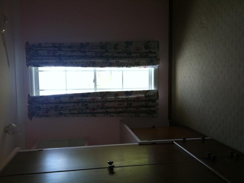 3 Leaf Street, Junction Hill NSW 2460