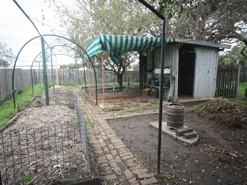 1278 Summerland Way, Mountain View NSW 2460