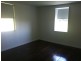 1137 Pacific Highway, Ulmarra NSW 2462