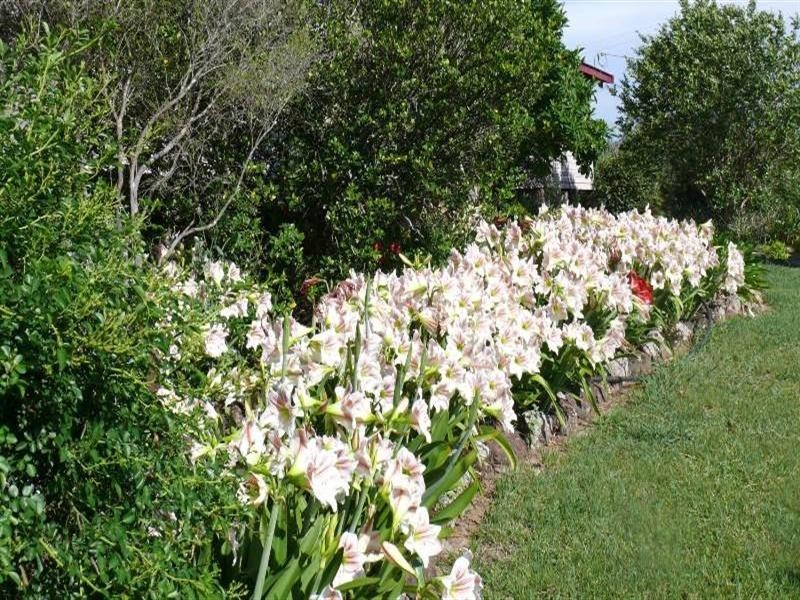 5024 Clarence Way, Fine Flower NSW 2460