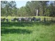 5024 Clarence Way, Fine Flower NSW 2460