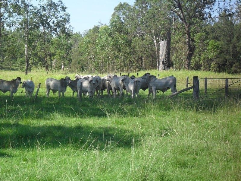 5024 Clarence Way, Fine Flower NSW 2460