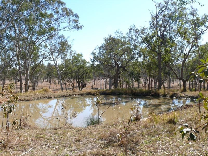 5024 Clarence Way, Fine Flower NSW 2460