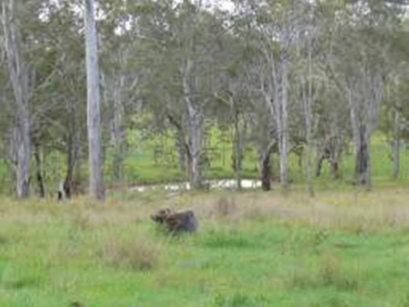 5024 Clarence Way, Fine Flower NSW 2460