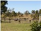 60 Exchange Drive, Waterview Heights NSW 2460