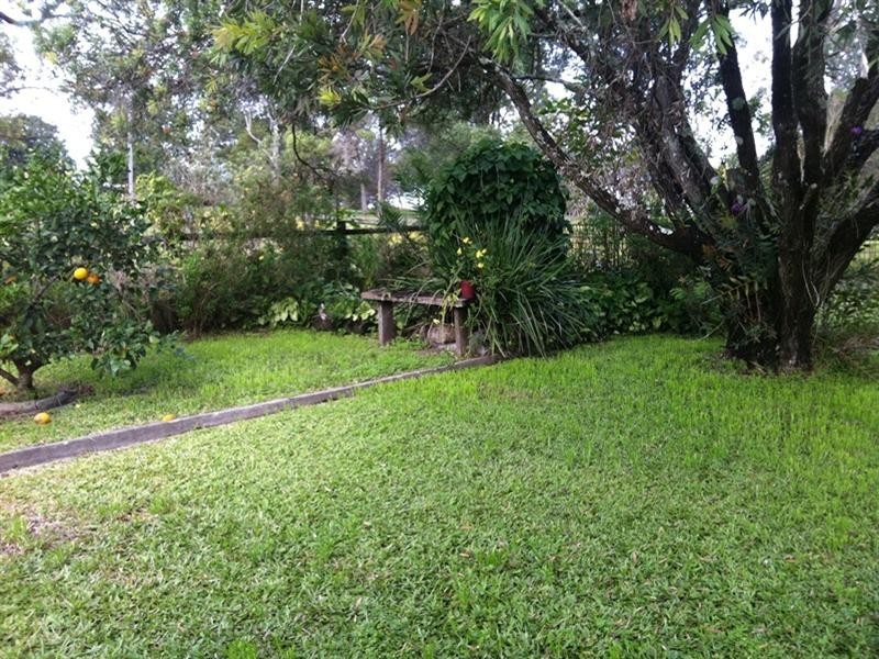 144 Red Lane, Mountain View NSW 2460