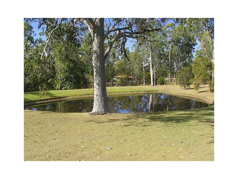 47 Mulligan Drive, Waterview Heights NSW 2460