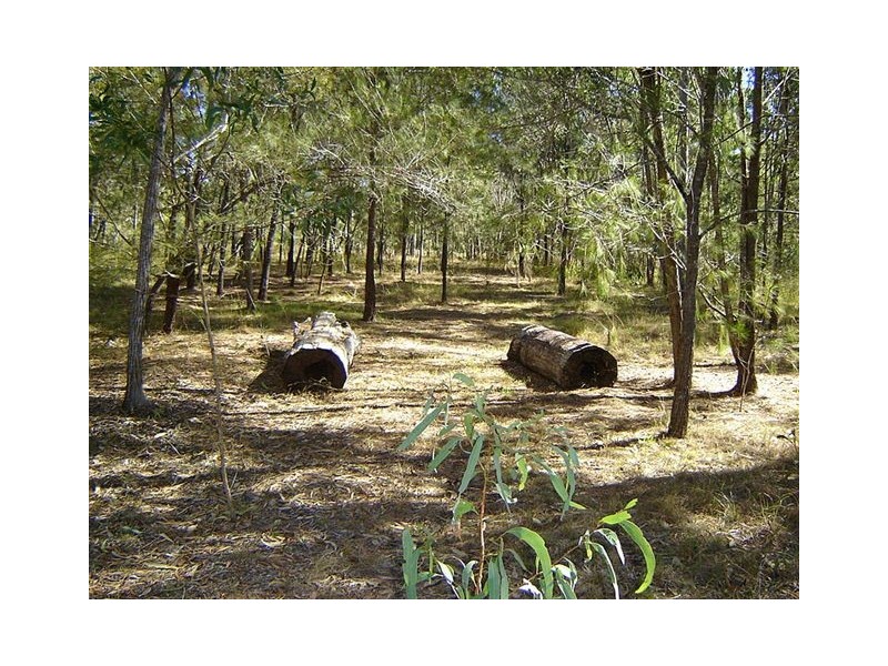 163 Tindal Road, Eatonsville NSW 2460