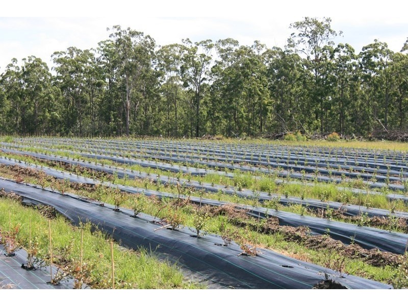 684 and 720 Parker Road, Lanitza NSW 2460