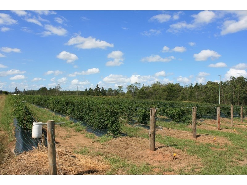 684 and 720 Parker Road, Lanitza NSW 2460