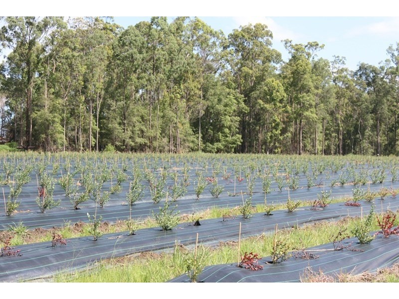 684 and 720 Parker Road, Lanitza NSW 2460