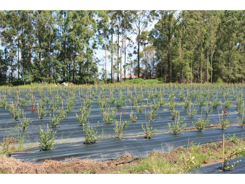 684 and 720 Parker Road, Lanitza NSW 2460