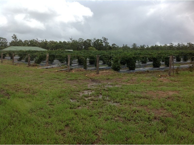 684 and 720 Parker Road, Lanitza NSW 2460