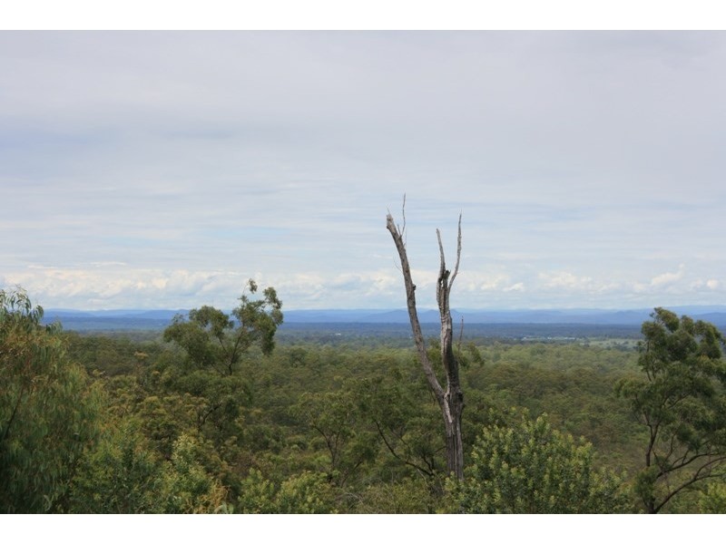 3 Irwin Close, The Pinnacles NSW 2460